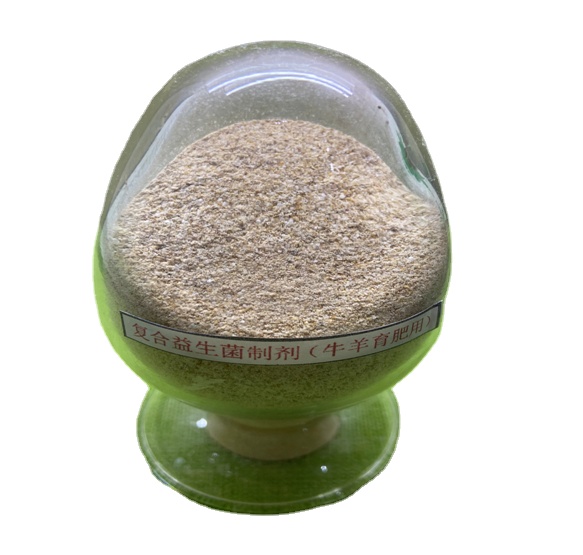 Guanidin Essigsäure Präbiotika Probiotika Pulvermischung Wirksame lebende Probiotika 2 Mrd. für Futtermittel für Mählinge 0