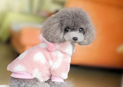 Multivitaminpr&auml;parate Multifunktionstablette Katzen und Hunde Nat&uuml;rliche Immunf&ouml;rderung und Allergieentlastung f&uuml;r Hunde 2