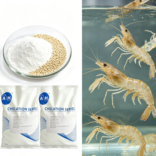 Latest company news about Managing Trace Mineral Requirements in Aquaculture Feed with Organic Magnesium Sources